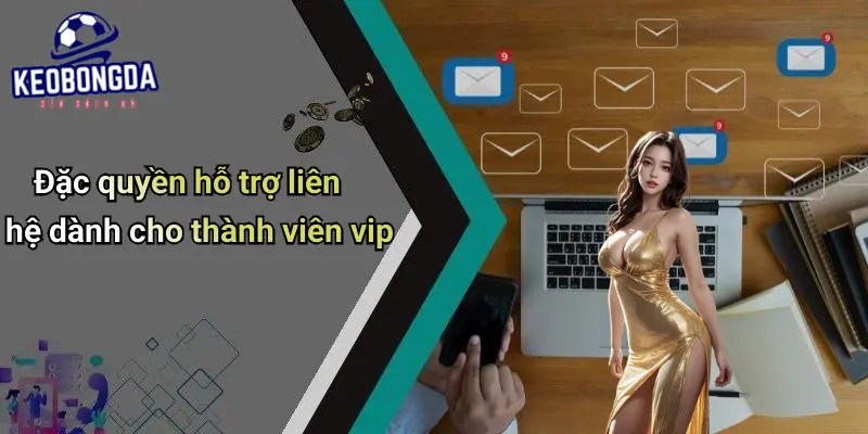 Liên Hệ 3 Liên Hệ