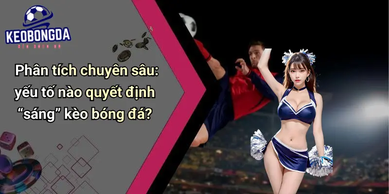 Tin Tức Bóng Đá