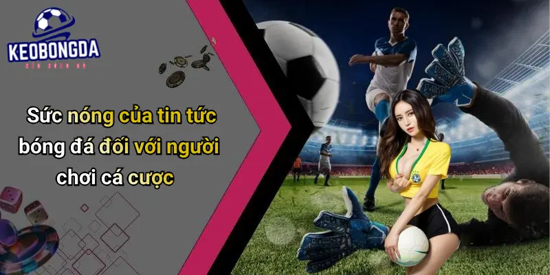 Tin Tức Bóng Đá