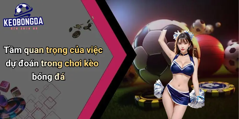 Dự Đoán 1 Dự Đoán