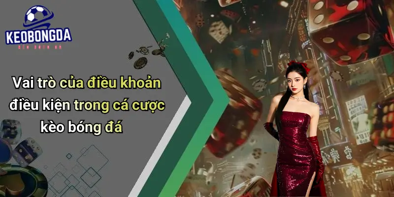 Điều Khoản Điều Kiện