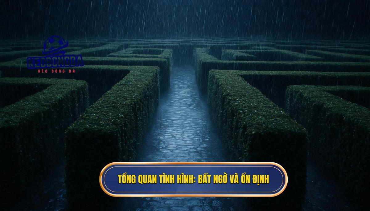 Tổng quan tình hình_ Những bất ngờ và sự ổn định