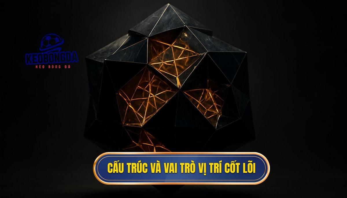 Cấu Trúc Cơ Bản và Vai Trò Vị Trí Cốt Lõi
