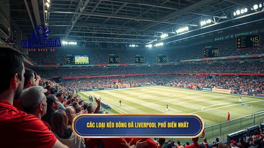 Các loại kèo bóng đá Liverpool phổ biến nhất
