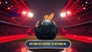 Kèo Bóng Đá Liverpool: Soi Kèo, Nhận Định & Tỷ Lệ Mới Nhất