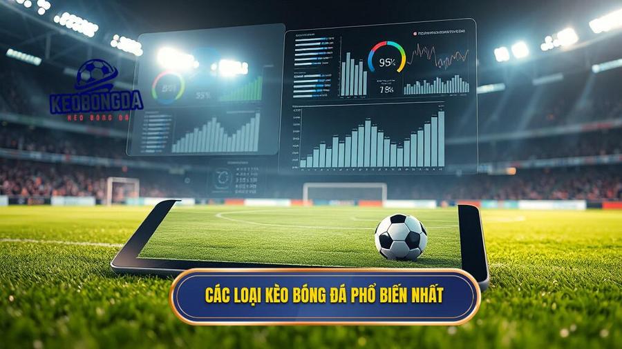 2. Các loại kèo bóng đá phổ biến nhất