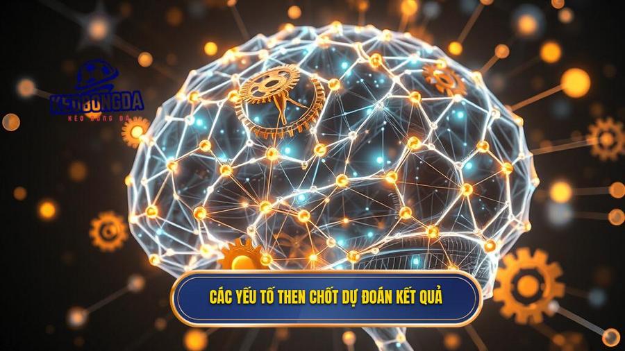 Các yếu tố then chốt dự đoán kết quả