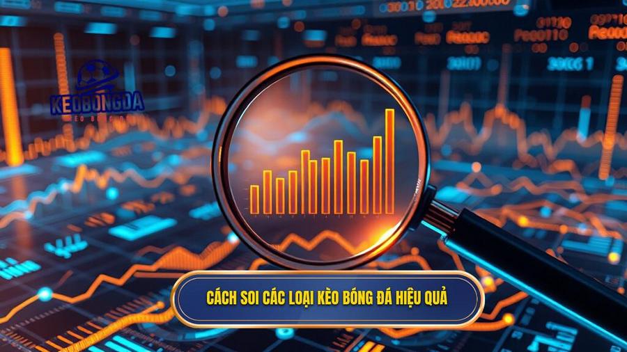 3. Cách soi các loại kèo bóng đá hiệu quả