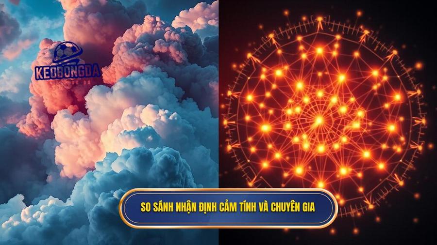 3. So sánh nhận định cảm tính và chuyên gia
