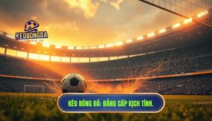 Bàn thắng phút bù giờ quá kịch tính: Cảm xúc vỡ òa trên sân cỏ